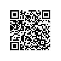 5號鎳氫電池(AA)生產(chǎn)廠家