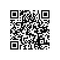 車用軟包電池的鼻祖