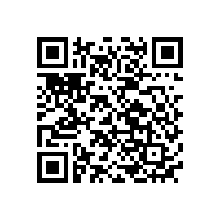 【 電動剃須刀AA鎳氫電池定制 】