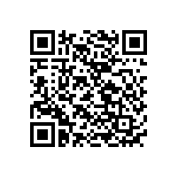 東莞聚合物電池廠