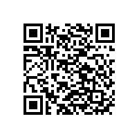 東莞市鋰電池公司