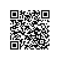 低溫Type-C鎳氫充電電池定制