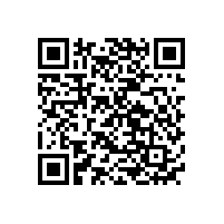 低溫自放電聚合物鋰電池組