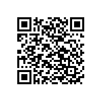 低壓車載鎳氫充電電池