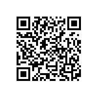 定制12V鋰電池拉桿音響