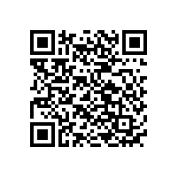 鋼殼汽車電子電池參數(shù)