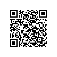 國(guó)內(nèi)保姆機(jī)器人電池廠家品牌排名