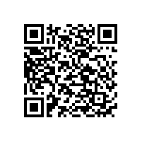 國(guó)內(nèi)車載數(shù)碼電池廠家排名