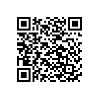 國內電動車電池生產廠家排名