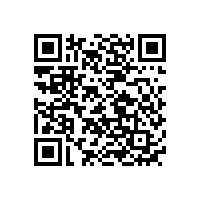 國內(nèi)電動玩具電池廠家品牌排名