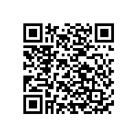 國(guó)內(nèi)動(dòng)力電池廠家排名