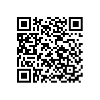 國內兒童玩具汽車電池廠家品牌排名