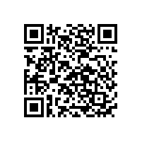 國內固態(tài)聚合物鋰電池生產廠家