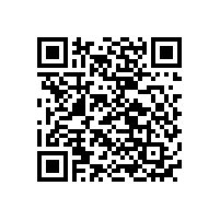 國內(nèi)出名滑板車電池廠家品牌排名