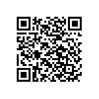 國(guó)內(nèi)鋰電池電芯品牌廠家排名