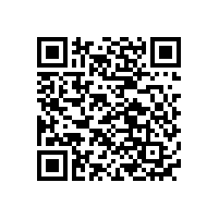 國內(nèi)鋰電池工廠排名