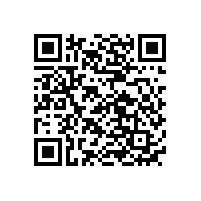 國(guó)內(nèi)輪胎補(bǔ)氣電池廠家品牌排名