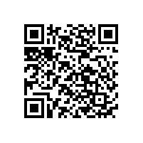 國(guó)內(nèi)免維護(hù)電池品牌生產(chǎn)廠家