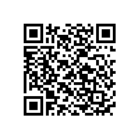 國內汽車診斷儀電池廠家品牌排名