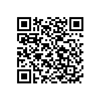 國內(nèi)雙向無線電掃描儀鎳氫電池定制公司排名