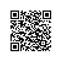 國內(nèi)三元材料鋰電池廠家排名