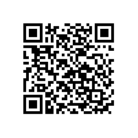 國(guó)內(nèi)三元聚合物鋰離子電池廠家品牌排名