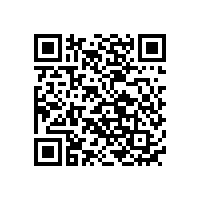 國(guó)內(nèi)三元鋰聚合物鋰電池工廠