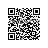 國內(nèi)胎壓監(jiān)測電池廠家品牌排名