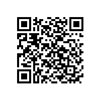 國內(nèi)應(yīng)急后備電源電池定制公司排名