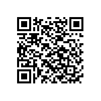 國內(nèi)TWS電池廠家排名