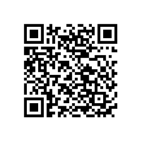 國(guó)內(nèi)玩具鎳氫電池生產(chǎn)廠家排名