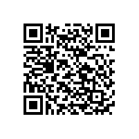 黑金電池和鉛酸電池哪個(gè)好