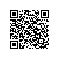 聚合物鋰離子電池主要指的是什么