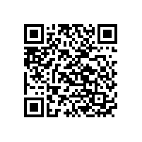 鋰聚合物電池和鋰離子電池哪個好