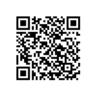 鋰離子電池新型的有機(jī)硼酸鹽LiBOBLiBOB