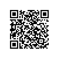 量能科技2024年中團(tuán)建