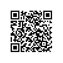 哪個新能源汽車品牌不屬于中國