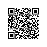 鎳氫充電電池能帶上飛機嗎