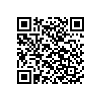 鎳氫電池中的IC芯片是什么意思?