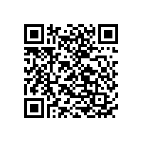 歐洲市場變成中國鋰電池企業(yè)投資熱門