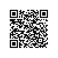 鉛酸電池的組成成分，鉛酸電池的工作原理