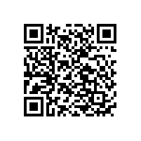 輕型電動(dòng)車(chē)鎳氫充電電池介紹