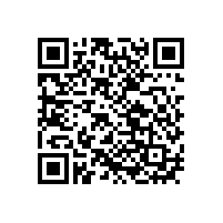 雙極耳鎳氫充電電池