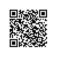 什么是811電池?811電池的優(yōu)缺點(diǎn)