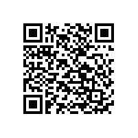 什么是e-call?e-call用什么電池?