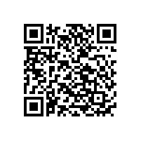 三元聚合物鋰電池和磷酸鐵鋰電池的區(qū)別