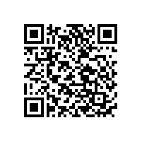 深圳聚合物低溫鋰電芯