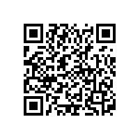 深圳鎳氫充電電池廠家