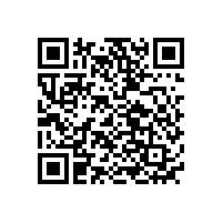 玩具聚合物鋰電池生產(chǎn)廠家