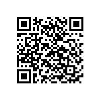 遙控玩具小飛機(jī)電池廠家